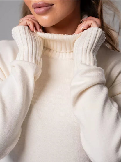 Ivy | Women's Knit Turtleneck Winter Sweater Dress
